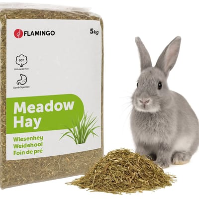 Weidehooi konijn – Hooi – Weidehooi – Knaagdierenvoer – Hamstervoer – Cavia voer – Konijnenvoer – 5kg Flamingo Snack Weidehooi
