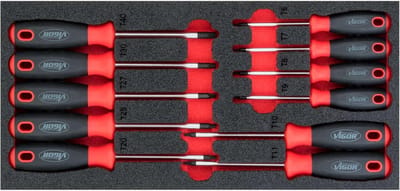 Schroevendraaierset - Torx Bits - Klussen Binnenshuis - Metaal met Schuim - 394 cm - Veelkleurig