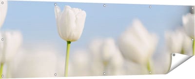 Gards Tuinposter Witte Tulpen - Bloemen - 180x60 cm - Tuindoek - Tuindecoratie - Wanddecoratie buiten - Tuinschilderij