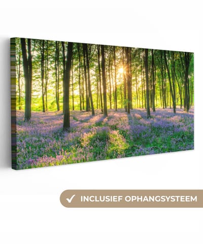Schilderijen op Canvas Bloemen - Natuur - Bos - Zon - Paars - 40x20 cm - Foto op Canvas - Wanddecoratie