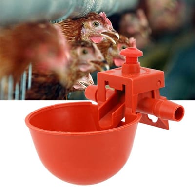 Allecto - Kip Waterer - Pluimvee Waterer - Ideaal voor kippen - 10 Stuks - Voeding en hydratatie - Betrouwbare oplossing - Geschikt voor kippencoup