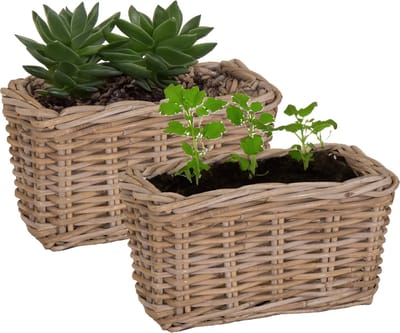 Mega Collections Planten/bloemen mand Levi - 2x - rotan -naturel - 30 x 15 x 17 cm - pot voor buiten
