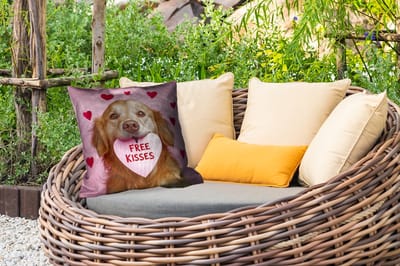 Buitenkussen - Hond - Kiss- Valentijn - Hartjes - 45x45 cm - Weerbestendig
