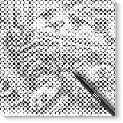 Kat kijk vogeltjes in de sneeuw | Dot painting | 40x40cm | Dot painting | Oh My Dotz | Dots stippen | Diamond painting & Schilderen op nummer alternatief | Happy hobby