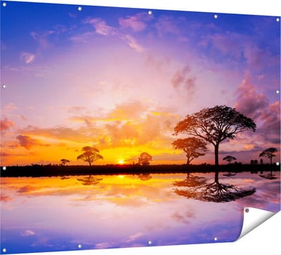 Gards Tuinposter Silhouet van Bomen tijdens Zonsondergang - 160x120 cm - Tuindoek - Tuindecoratie - Wanddecoratie buiten - Tuinschilderij
