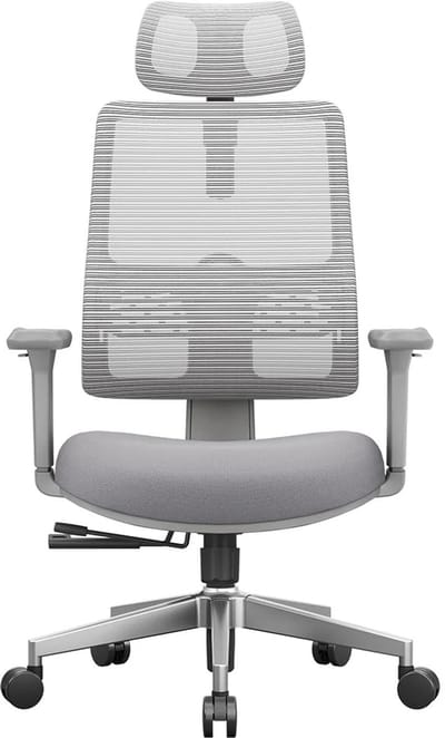 Ergonomische Bureaustoel – Kantoorkruk – Werkstoel – Gamingstoel – Bureaustoel Met Lendensteun – Dynamische Rugsteun – Verstelbare Hoofdsteun – Ademend Mesh
