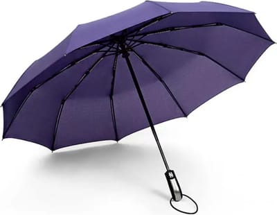 Nivard Moderne Stormparaplu - Opvouwbaar - Windproof Paraplu - Stormproef - Automatisch Uitklapbaar - Umbrella - Paars
