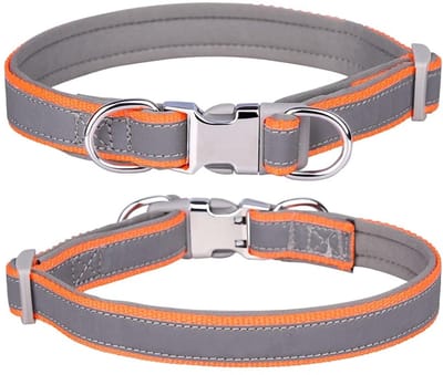 Golden crown - Reflecterende nylon halsband - Verstelbare huisdierhalsband - Zachte neopreen vulling - Oranje - Voor kleine en middelgrote honden - Maat...