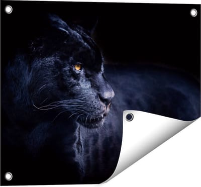 Gards Tuinposter Zwarte Panter - 50x40 cm - Tuindoek - Tuindecoratie - Wanddecoratie buiten - Tuinschilderij