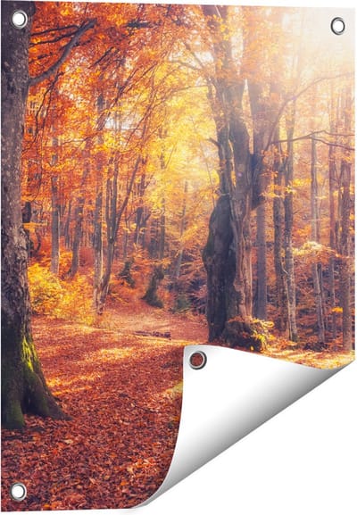 Gards Tuinposter Oranje Herfstbos met Zonneschijn - 40x50 cm - Tuindoek - Tuindecoratie - Wanddecoratie buiten - Tuinschilderij