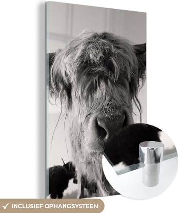 MuchoWow® Glasschilderij 120x180 cm - Schilderij acrylglas - Schotse Hooglander - Zwart - Wit - Dieren - Foto op glas - Schilderijen