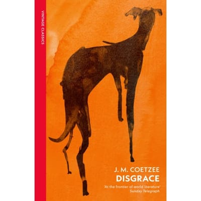 Disgrace - Vintage Classics - J.M. Coetzee