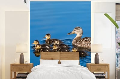 Behang - Fotobehang Eend - Water - Vogel - Bruin - Breedte 175 cm x hoogte 240 cm