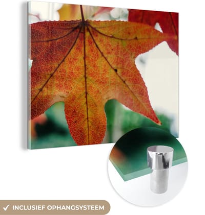 MuchoWow® Glasschilderij 40x30 cm - Schilderij acrylglas - Herfst - Landelijk - Bladeren - Seizoenen - Landelijk - Foto op glas - Schilderijen