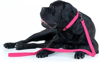 WAUDOG Waterproof Hondenlijn / Hondenriem - Collartex - Roze - Breedte 25 mm - Lengte 122 cm - Geschikt voor grote honden