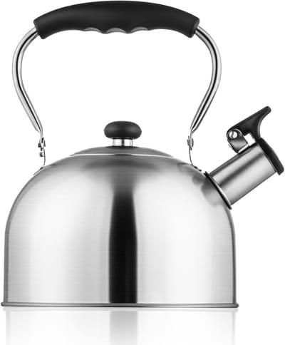 Theeketel Roestvrijstaal - Waterkoker Kookplaat - Koffie En Thee - Opvouwbaar Handvat - 2.64 Liter - Zilver