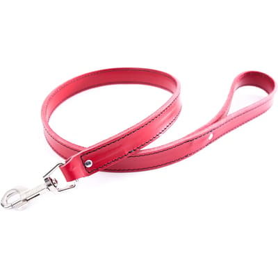 Leren hondenriem Sellerie Canine Vendéenne