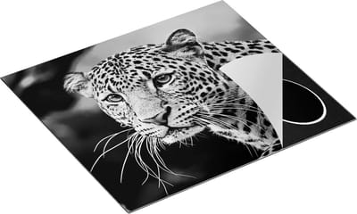Chefcare Inductie Beschermer Luipaard van Dichtbij - Zwart Wit - 60x50 cm - Afdekplaat Inductie - Kookplaat Beschermer - Inductie Mat