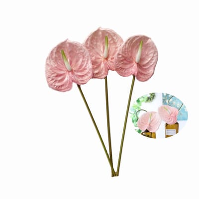 Dailygoods- Anthurium Kunstplant 26" Hoogte - 3 Stks Boeket - Tropische Imitatie Bloemen - Bruidsdecoratie - Feestdecoratie - Probleemloos Waterbesparend - Nep Bloemen