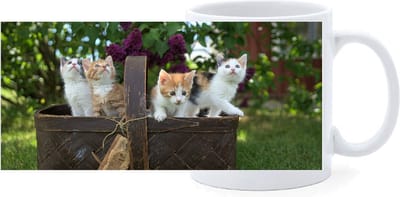Beker - Mand met Kittens