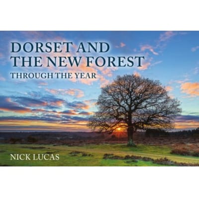 Dorset And The New Forest Through The Year - Nick Lucas