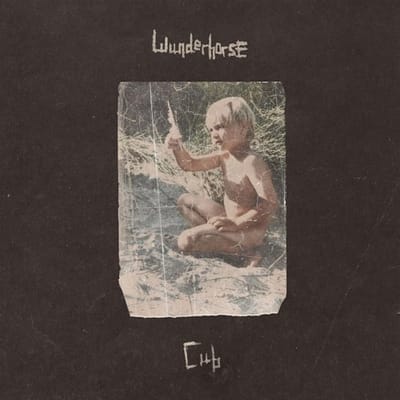 Cub - Wunderhorse