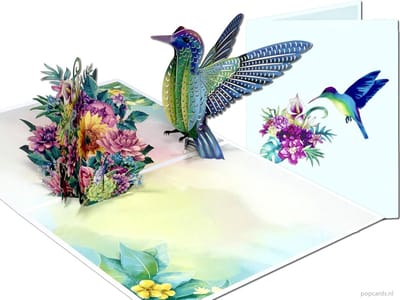 Popcards pop-up kaart – Kolibrie Bloemen Felicitatie Troost Verjaardag pop-up kaart 3D wenskaart