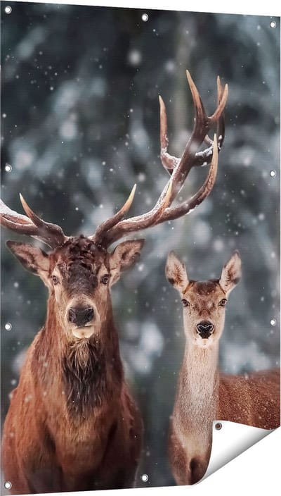 Gards Tuinposter Twee Herten met Sneeuw - 80x120 cm - Tuindoek - Tuindecoratie - Wanddecoratie buiten - Tuinschilderij