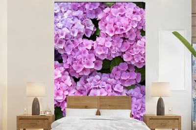 Behang - Fotobehang Bloemen - Hortensia - Struik - Roze - Bloemblaadjes - Breedte 200 cm x hoogte 300 cm