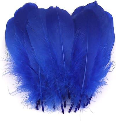 Kleurige Veren voor Creatieve Projecten, Natuurlijke Pluimen voor DIY Kunstwerken, Maskers, Hoeden en Sieraden maken