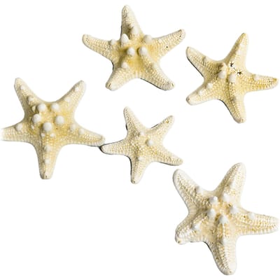 Décor Étoile de Mer pour Aquarium Ornement Étoile de Mer Unique et Magnifique Ensemble pour Aquarium Maison DIY Cadre Photo Carillon Éolien Type 1
