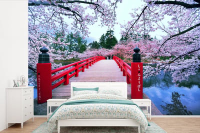 Behang - Fotobehang Kersenbloesem bomen bij een rode Brug in Japan - Breedte 600 cm x hoogte 400 cm