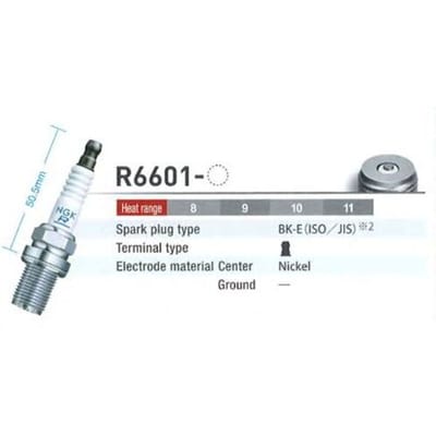 Bougie  NGK R6601-8 3033