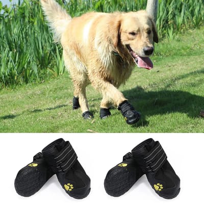 Chaussures pour chiens bottes chaussures imperméables pour chiens avec réfléchissant robuste size 6 black
