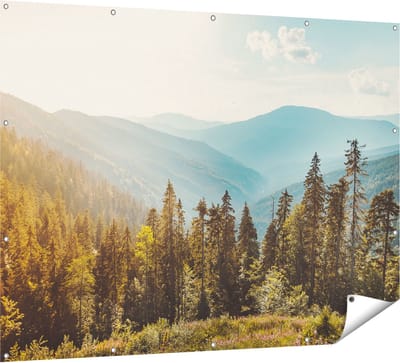 Gards Tuinposter Bos met Bomen in de Hoge Bergen - 160x120 cm - Tuindoek - Tuindecoratie - Wanddecoratie buiten - Tuinschilderij