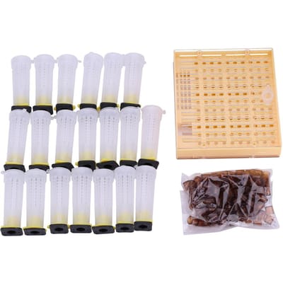 Koninginnenteelt Cup Kit Bijenteeltgereedschap Plastic Bijenteelt Doos Kooi Set beige