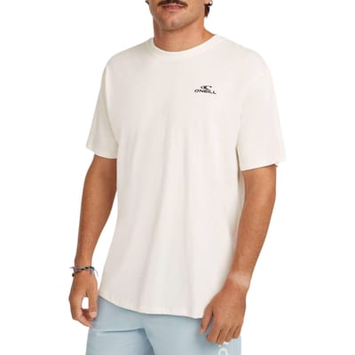 O'Neill Small Logo T-shirt Heren - Maat M