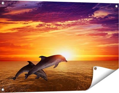 Gards Tuinposter Twee Dolfijnen bij de Zonsondergang - 90x60 cm - Tuindoek - Tuindecoratie - Wanddecoratie buiten - Tuinschilderij
