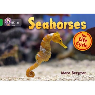 Seahorses - Collins Big Cat - Mara Bergman