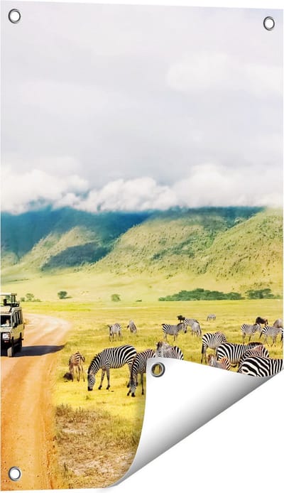 Gards Tuinposter Safari Auto tussen de Zebra's - 40x60 cm - Tuindoek - Tuindecoratie - Wanddecoratie buiten - Tuinschilderij
