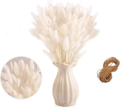 Pakket van 50 gedroogde pampasgrassen, natuurlijke pampasgras voor interieurdecoraties, fotografie, bruiloft, wit.