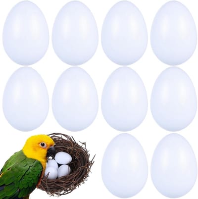 10 Stuks Plastic Eieren, Gesimuleerde Vogeleieren voor Papegaaien en Cocktails, Dummy Eieren voor Duiven en Vogels