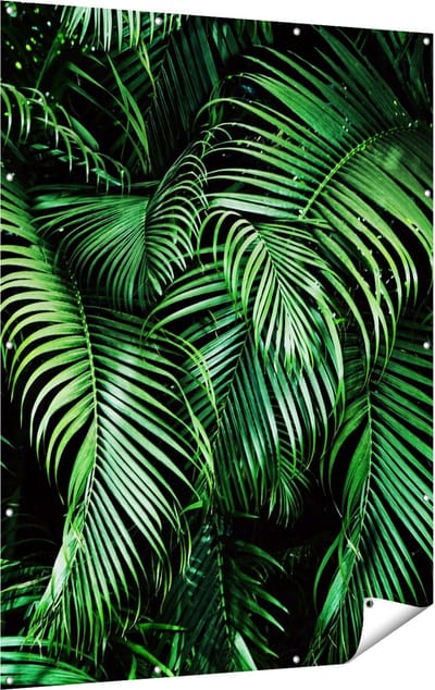 Gards Tuinposter Tropische Palm Bladeren - Groen - 120x160 cm - Tuindoek - Tuindecoratie - Wanddecoratie buiten - Tuinschilderij