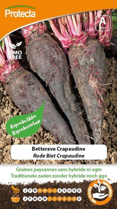 Protecta Groente zaden: Rode Biet Crapaudine