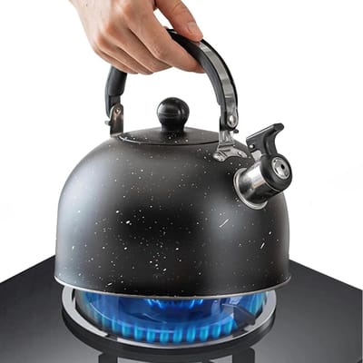 Fluitende Waterkoker - Steel Pot - Thee Zetten - Luid Fluit Signaal - 2.5L Capaciteit - Zwart
