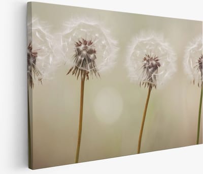 Saammp Muurcirkel Hout - Vrouw - Beige - abstract - Ø 80 - Wandcirkel - Wanddecoratie Cirkel - Muurdecoratie Woonkamer - Slaapkamer decoratie - Rond Schilderij