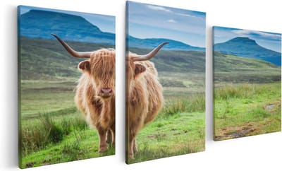 Artaza Canvas Schilderij Drieluik Schotse Hooglander In De Wei - Kleur - 120x60 cm - Wanddecoratie Woonkamer - Schilderijen - Muurdecoratie