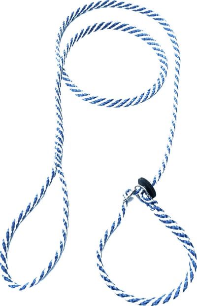 Abany quality design – luxe hondenlijn voor alle honden rassen - puppylijn met - dubbele stop - vanglijn – retrieverlijn - jachtlijn - sliplijn – lange hondenlijn - wandelhoofdstel - mantrailing - 5 meter - 1R19010 – beige – zwart - wit