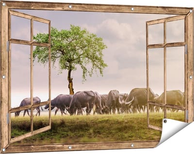 Gards Tuinposter Doorkijk Kudde Buffels bij een Boom - 120x80 cm - Tuindoek - Tuindecoratie - Wanddecoratie buiten - Tuinschilderij