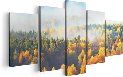 Artaza Canvas Schilderij Vijfluik Gekleurde Herfstbos Met Mist - 100x50 - Foto Op Canvas - Canvas Print